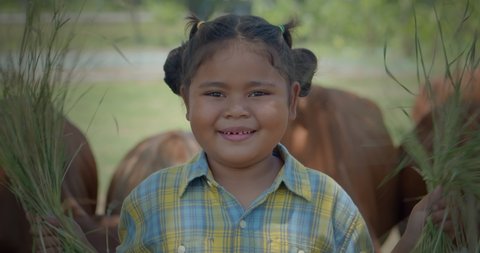 A happy smiling cute little girl who is an indigenous Asian farmer's daughter, feeds herd of cows in a cowshed with fresh grass joyfully at a rural area.