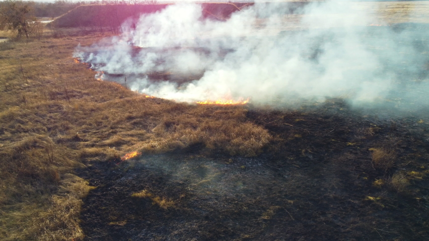 Aerial Drone View Over Burning Dry Grass and Smoke in Field. Flame and Open Fire. Top View Black Ash from Scorched Grass, Rising White Smoke and Yellow Dried Grass. Ecological Catastrophy, Environment | Shutterstock HD Video #1089011799
