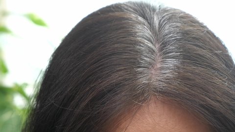 73 Prevent Hair Fall Stock Video Footage - 4K and HD Video Clips | Shutterstock 73 Prevent Hair Fall Stock Video Footage - 4K and HD Video Clips | Shutterstock