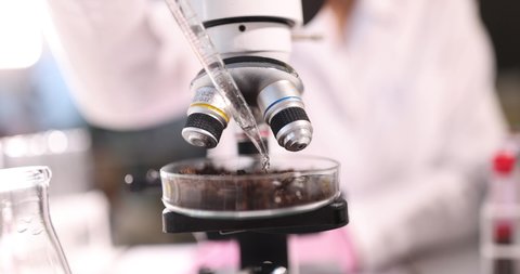 Scientist adds liquid to petri dish with soil closeup