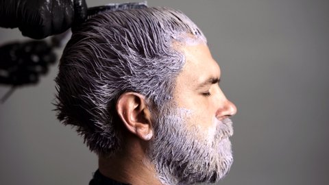 Hairdresser colorist dyes the hair of a bearded man. Hairdresser is dying male hair. Man dyeing hair while using a brush. Colouring of gray hair at barber salon. Haircare and men hairstyling.
