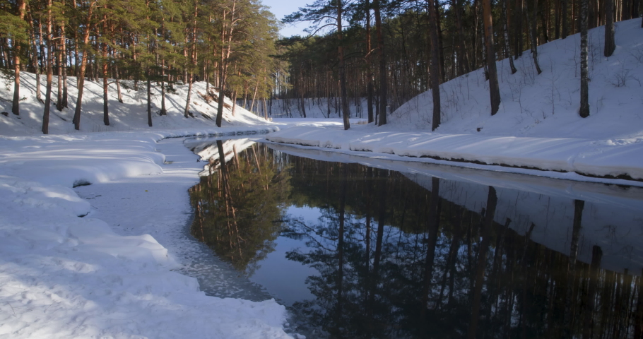 Water in winter stream among snowy trees in wooden grove. Crystal clear winter river with mirror surface in snowy forest