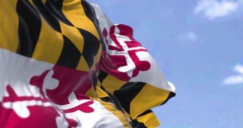 The US state flag of Maryland waving in the wind. Maryland is a state in the Mid-Atlantic region of the United States. Democracy and independence. Seamless looping in slow motion
