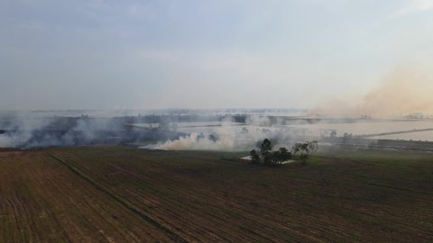 Ascending aerial footage of this farmland burning creating pollution, Pak Pli, Nakhon Nayok, Thailand.