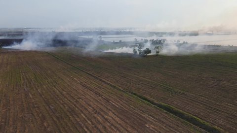 Reverse aerial footage of a massive burning of grass in preparation for the planting season, Pak Pli, Nakhon Nayok, Thailand.