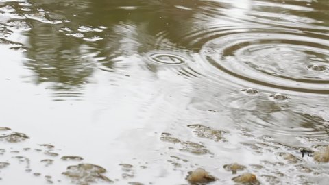 Air bubbles floats on muddy water with slush of large puddle under raindrops at spring time season