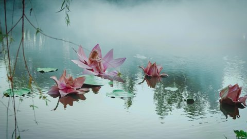 Happy fantasy young blonde woman princess sits in huge pink flower on blue water. Queen goddess on floating throne like little inch girl. Background summer nature lake, river, fog haze, fairy world