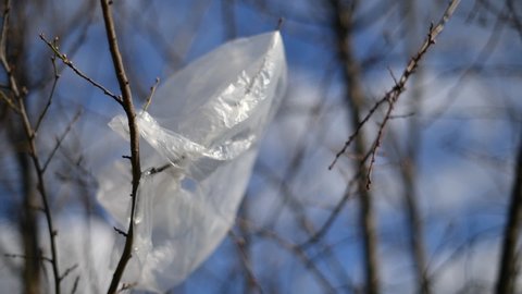 Plastic bag trapped in tree branches, environmental pollution and damage