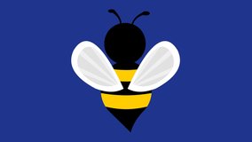 Loop animation of a bee flapping its wings, on a blue chroma key background