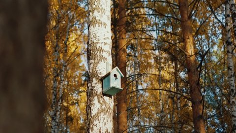 Wooden birdhouse on the tree in the autumn forest at the sunny day. Rural countryside scene, taking care of birds