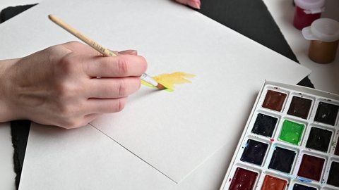 Female artist hands painting with watercolor paints on white piece of paper, hobby concept.