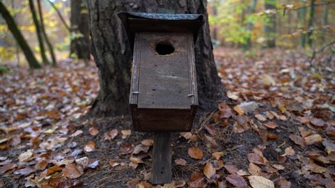 Birdhouse lying on the ground and leaning against the tree in autumn