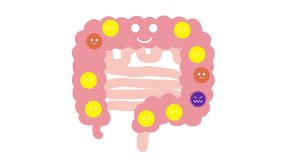 This is an animated video of balanced intestinal flora. Loopable