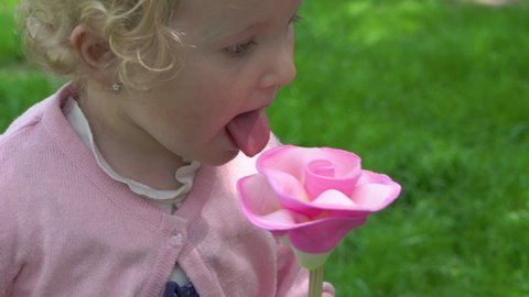 candy flower in the hands of a little girl,child eats and licks candy on a stick