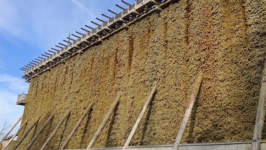 Graduation Tower construction with blackthorn in Bad Kosen
