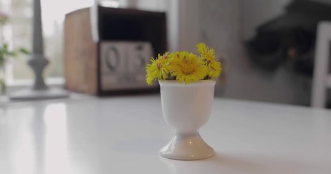 coltsfoot in an egg cup on a kitchen table
