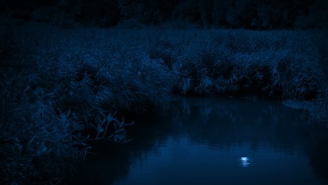 Swamp On Windy Night With Reflection Of Moon