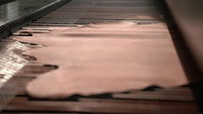 Leather Hides Being Red From A Machine During Manufacturing
