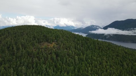 Dense, lush forest covering the mountains and valleys surrounding the Powell River on the Sunshine Coast trail in British Columbia, Canada. Wide angle aerial shot