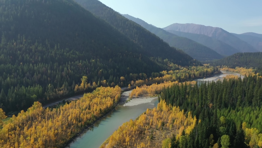 Flyover Yellow And Green Trees Lined Up By The River And Mountainside in montana - aerial shot