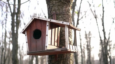 birdhouse on a tree for feeding birds and squirrels in the park