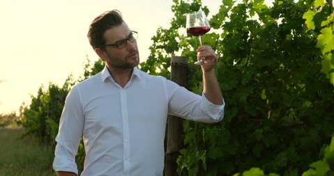 Winemaker tasting red wine in cellar. Portrait of happy man in vineyard with glass of red wine. man in a white shirt stands at a winery with a glass of wine Vintner, agricultural entrepreneur, owner.