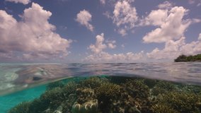 Split shot, half above, half below water of a tropical coral reef in Fakarva, second biggest atoll in French Polynesia in the south pacific ocean in Slow motion - Powered by Shutterstock - Get 15% off with code: PIKWIZARD15