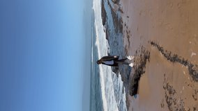 Vertical video. A young woman walks along the coast of the Atlantic Ocean. Sandy beach, dunes on the seashore. Sandwich Harbour in Namibia. Summer vacations.