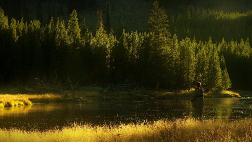 Fly Fisherman casting his line in scenic wild river in slow motion backlight. Golden hour light in rocky mountains of Yellowstone National Park, Wyoming and Montana, USA. 4K.