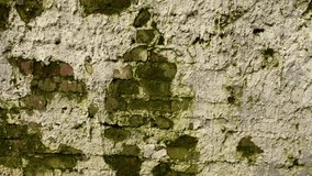 Background of the texture of an old brick wall in the style of grunge. Panorama camera video.