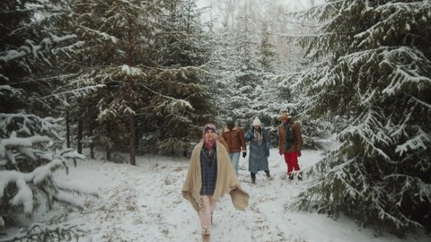 Tilt down shot of group of young multiethnic tourists walking through forest on winter day