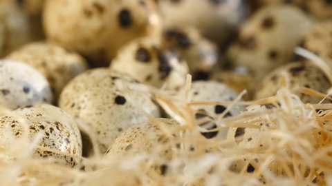 Close-up of quail eggs a rotating . Bright colorful quail eggs. Macro. Selective focus