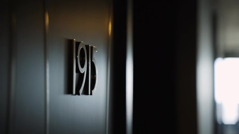 Gilded numerals nineteen-fifteen of room or office on the wall in dark hallway of hotel gleaming from window.