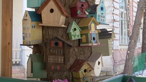 lots of beautiful multi-colored wooden decorative birdhouses on the tree. unusual decor for the courtyard of a house or restaurant.