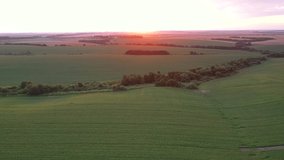 Magic view over agrarian lands in the evening light. Footage from a bird's eye view. Location place agrarian region of Ukraine, Europe. Cinematic drone shot. Filmed in UHD 4k video. Beauty of earth.