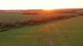 Gorgeous view over agrarian lands in the evening light. Footage from a bird's eye view. Location place agrarian region Ukraine, Europe. Cinematic drone shot. Filmed in UHD 4k video. Beauty of earth.