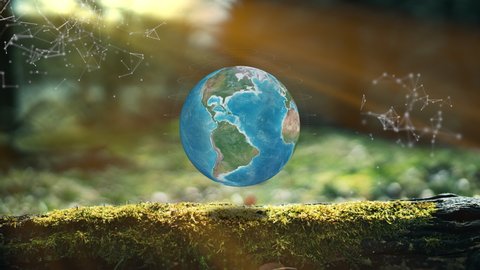 Ecological Green Energy Icons On Moss BG Concept Photo Realistic Earth Design Motion Graphics 3D Render
