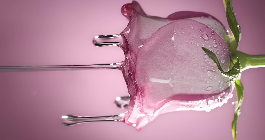 Dripping of rose oil,essential oil with rose | Shutterstock HD Video #1089129783