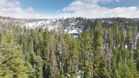 Inspirational travel destination in remote countryside of California, USA. Aerial footage of stunning snowy mountain peaks, covered with majestic fir forest. High quality 4k footage