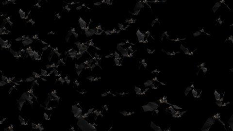 Flying Bats Animation with Black green screen Channel Halloween Background. Fly Silhouette Bat. Night of Halloween Bat Party Transition Template. 3d Motion Design Elements for Decoration 4k