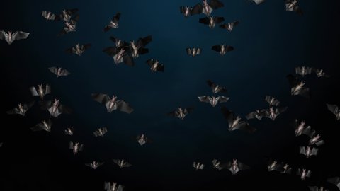 4K Flying bats into camera motion graphics with green screen Loop background. horror, Halloween, grunge, fairy-tale, fantasy, magic and witchery projects as dramatic, spooky and scary background,