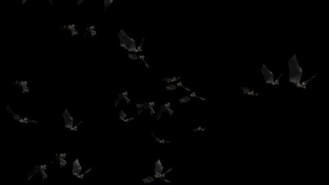 Happy halloween. Flock of flying bats. 4k Shocking black bats group isolated on white Halloween background. Flittermouse night creatures. Silhouettes of flying bats traditional Halloween symbols.
