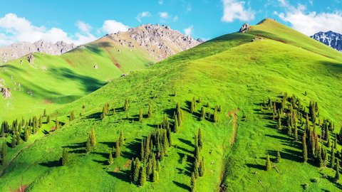 Aerial footage of green grassland and mountains natural landscape in Xinjiang, China. Beautiful Nalati grassland landscape in spring.