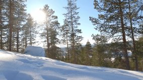 Meditation Background Footage of Snowy Hill, with Pine Trees, Rock Covered with Snow, and Blue Sky Where Sun is Shining Behind the Trees
