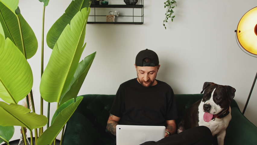 Huge easy-going dog sits on a green couch with his middle-aged owner and moves his head. Remote working concept. High quality 4k footage