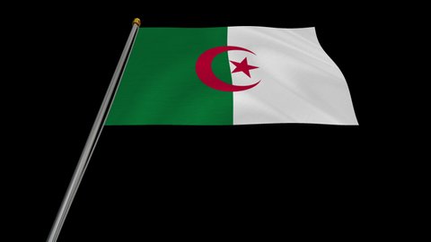 A loop video of the Algeria flag swaying in the wind from below.