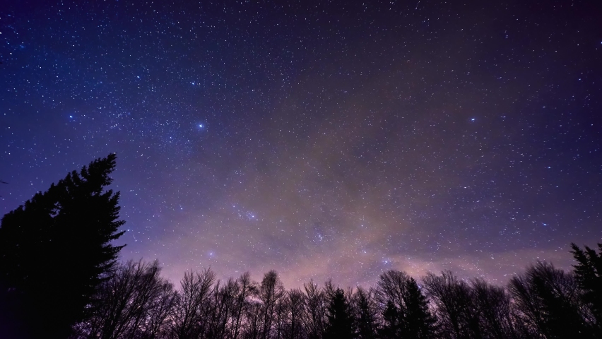 Time lapse of a night sky full of stars over the trees in the forest,