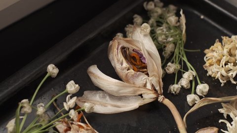 Dried flowers on the black oven sheet
