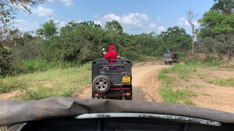 Habanara, Sri Lanka - March 02 2022: Tourist enjoy elephant jeep safari in national park in Sri Lanka