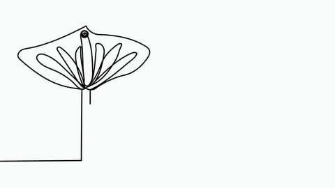 Self, drawing, animation continuous single drawn one line Calla, flower